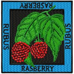 Raspberry Embroidery Design 5 Raspberry Embroidery Design 5